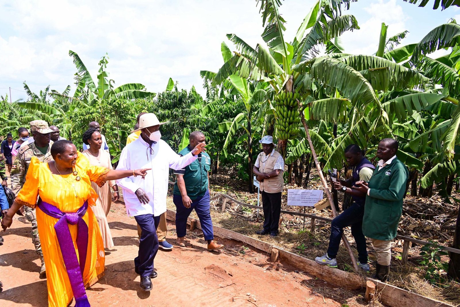 A restriction on smallholder maize would trade food security for a cash-crop bet Uganda has already lost once